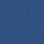 YP005