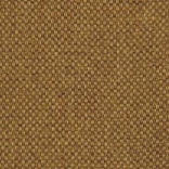 camel-9942