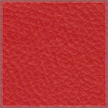 karlo-227