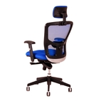Kancelářská židle DIKE s podhlavníkem