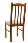 Židle Darina Z61
